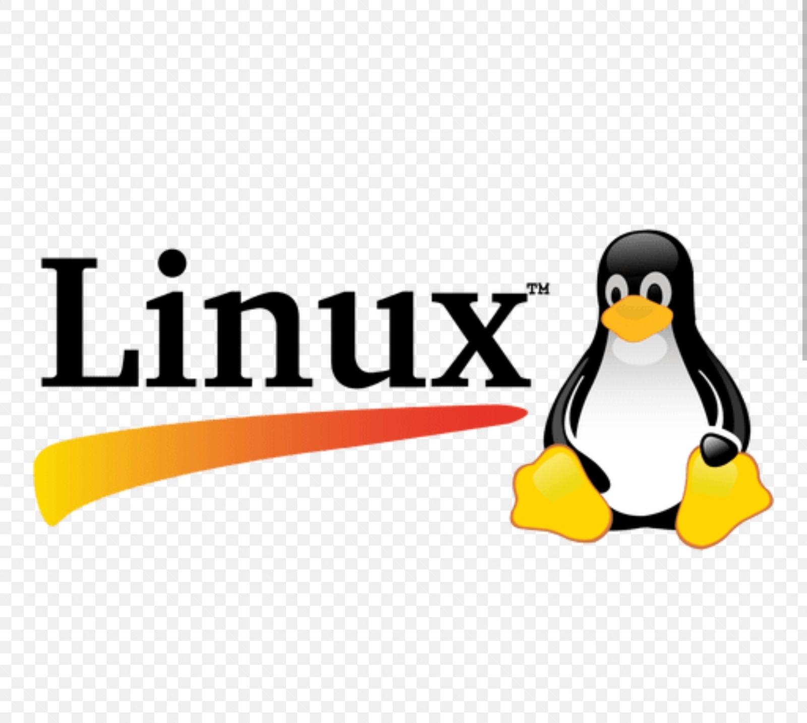 Linux Basics Tutorial: A Beginner-Friendly Guide to Master Linux Step by Step